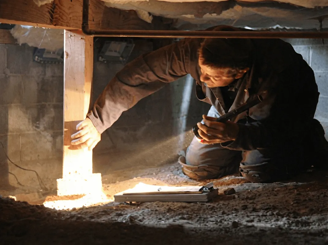 A professional inspecting wooden beams under the floor of a structure in Honolulu, HI